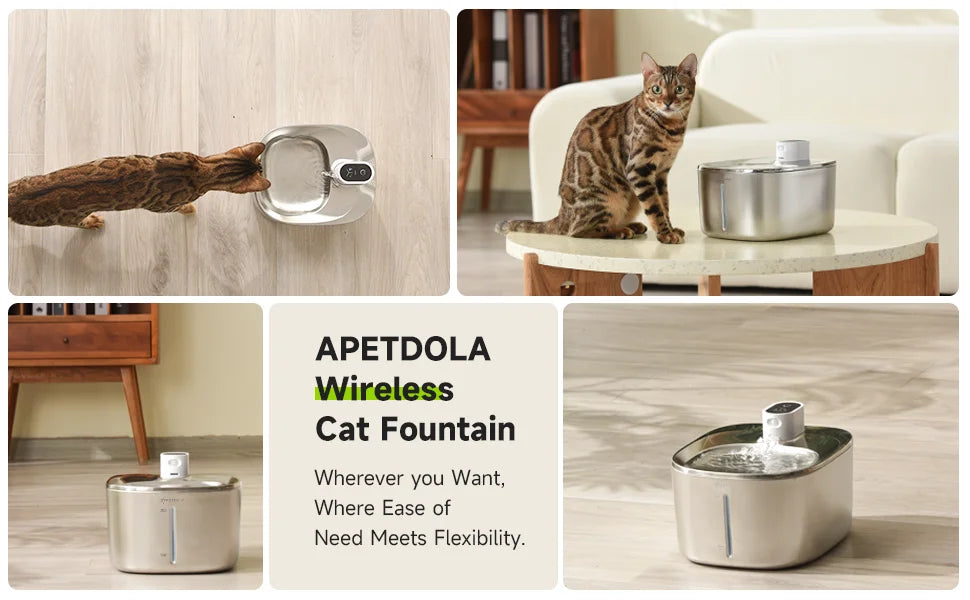 Wireless Water Fountain