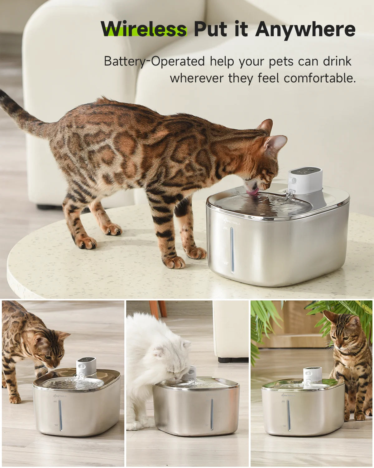 Wireless Water Fountain