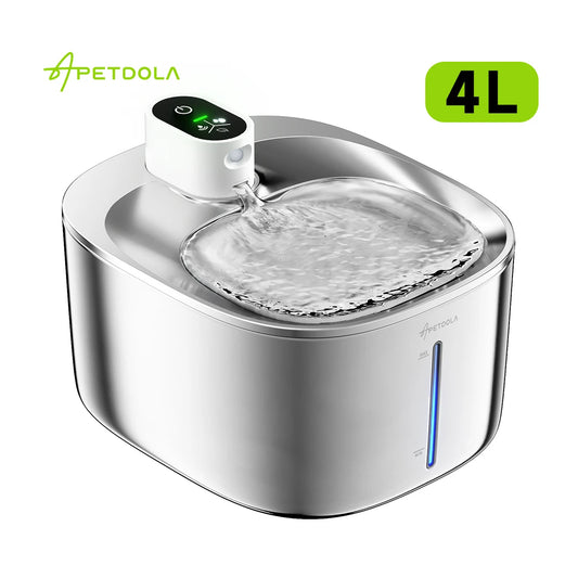 Wireless Water Fountain