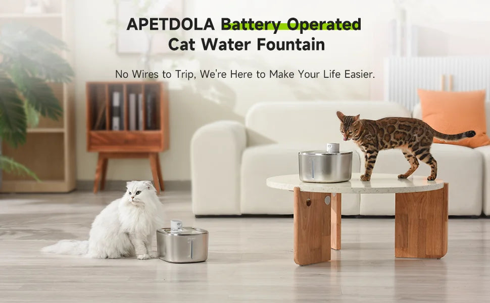 Wireless Water Fountain