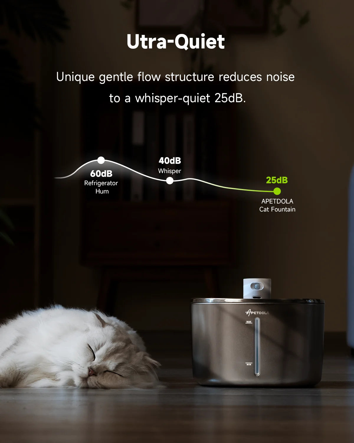 Wireless Water Fountain