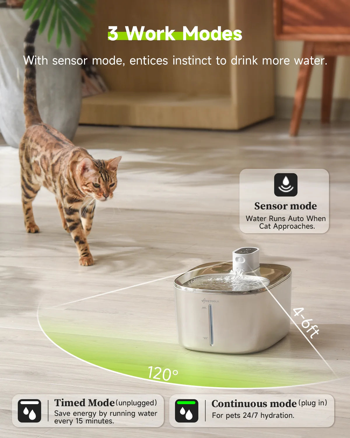 Wireless Water Fountain